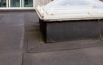 disadvantages of Danby flat roofs